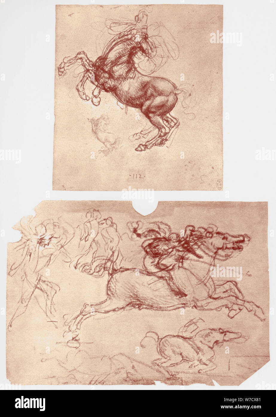 'Horse Rearing', and 'Horsemen and Foot-Soldiers', c1504.  Artist: Leonardo da Vinci Stock Photo