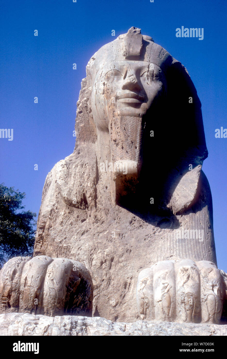 Alabaster Sphinx (seen from front), Memphis, Egypt, 18th or 19th ...