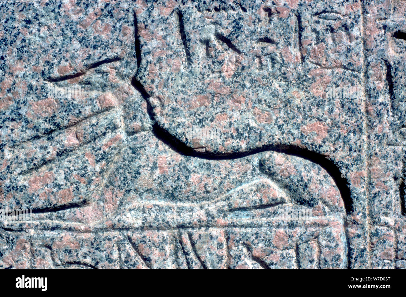Detail from relief on granite sarcophagus of Anubis, Memphis, Egypt, Middle kingdom period. Artist: Unknown Stock Photo