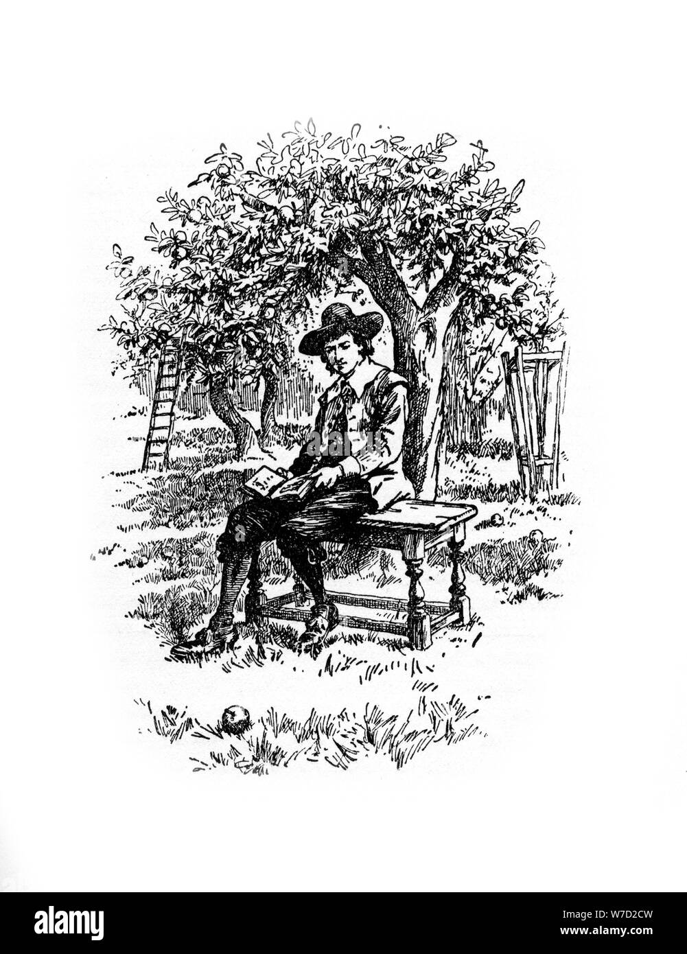 Sir Isaac Newton under the apple tree, (20th century). Artist: Unknown Stock Photo