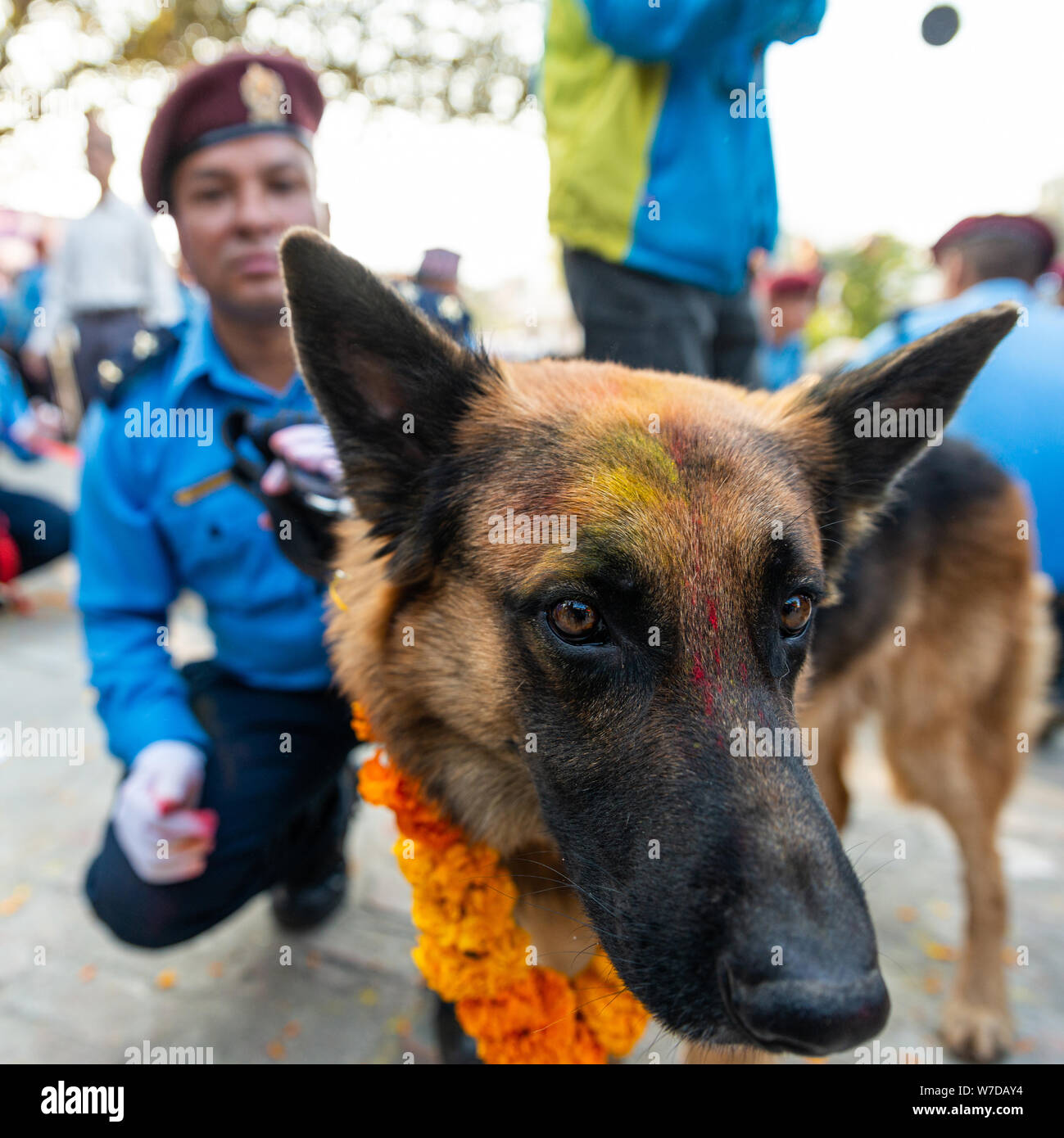 kathmandu-nepal-november-6-2018-nepal-police-celebrates-kukur
