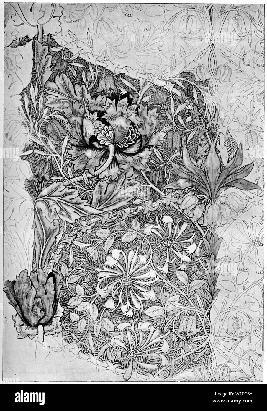 Honeysuckle pattern printed on linen, 1883 (1934).Artist: William Morris Stock Photo