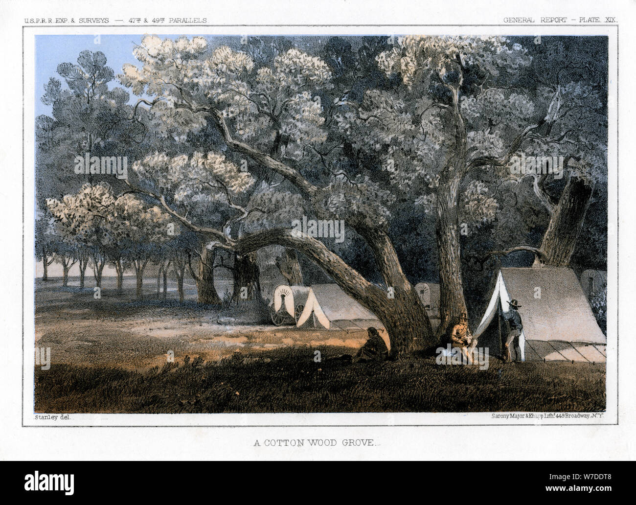 'A Cotton Wood Grove', 1856. Artist: John Mix Stanley Stock Photo
