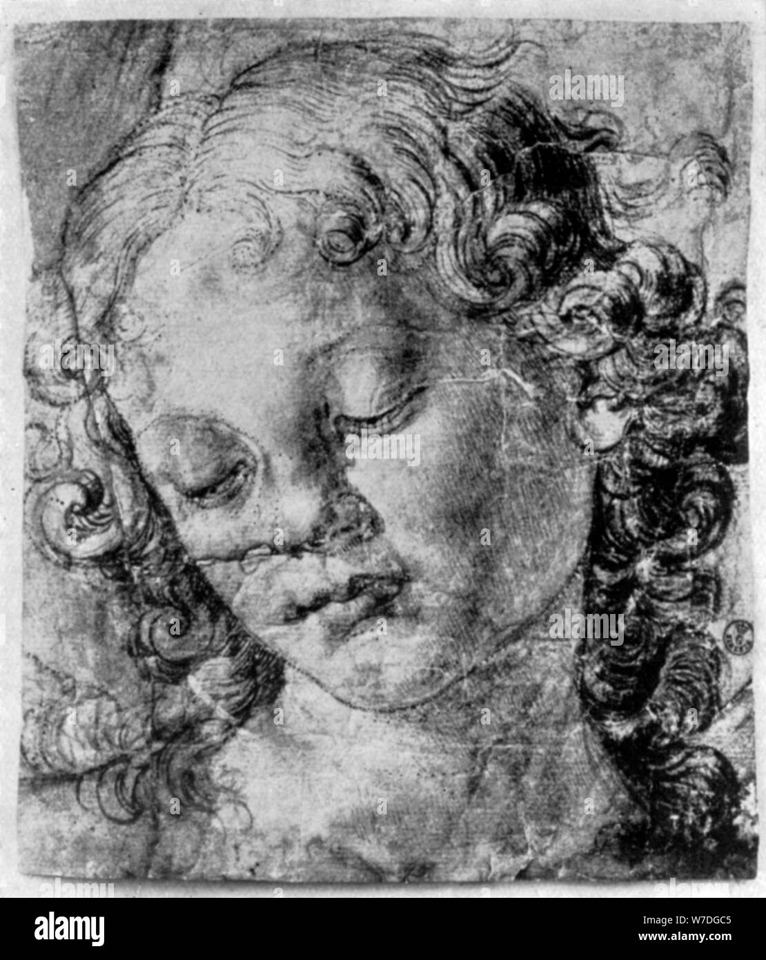 The head of an angel, 15th century (1930).Artist: Andrea del Verrocchio Stock Photo
