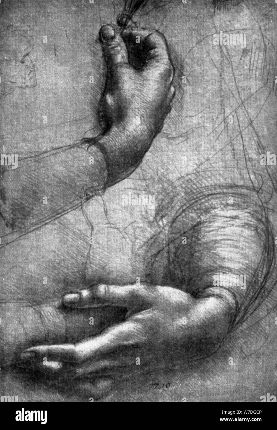 Study of hands, 15th century (1930).Artist: Leonardo da Vinci Stock Photo