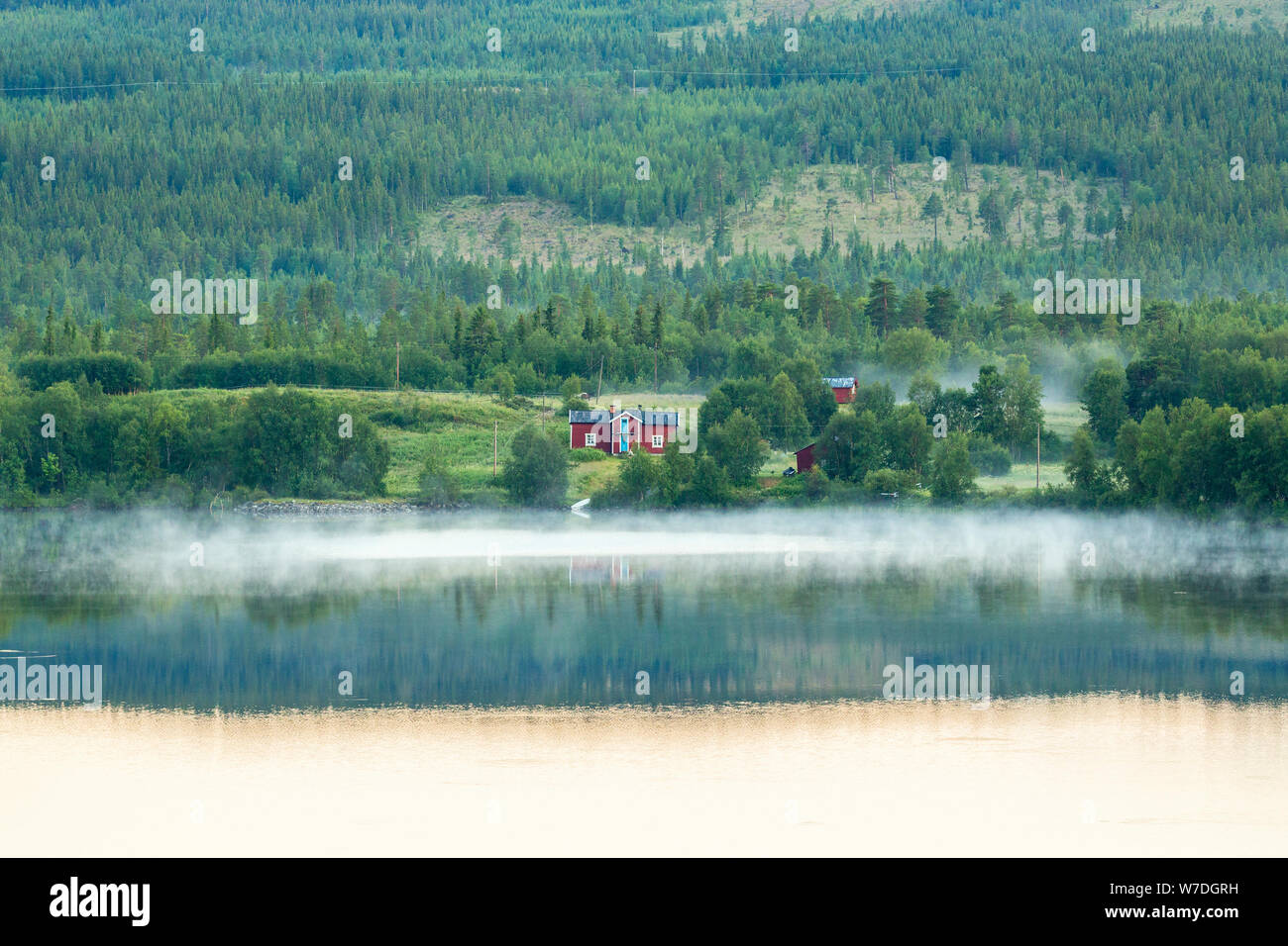 Boreal forest aerial fog hi-res stock photography and images - Alamy