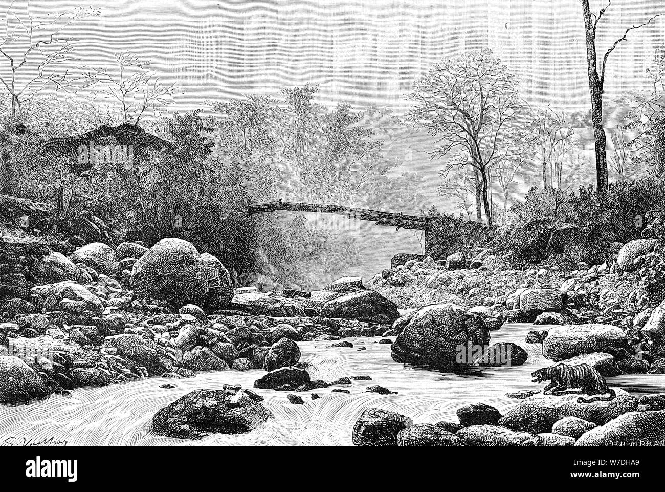 A bridge over the Rangit, a tributary of the river Teesta, India, 1895. Artist: Unknown Stock Photo