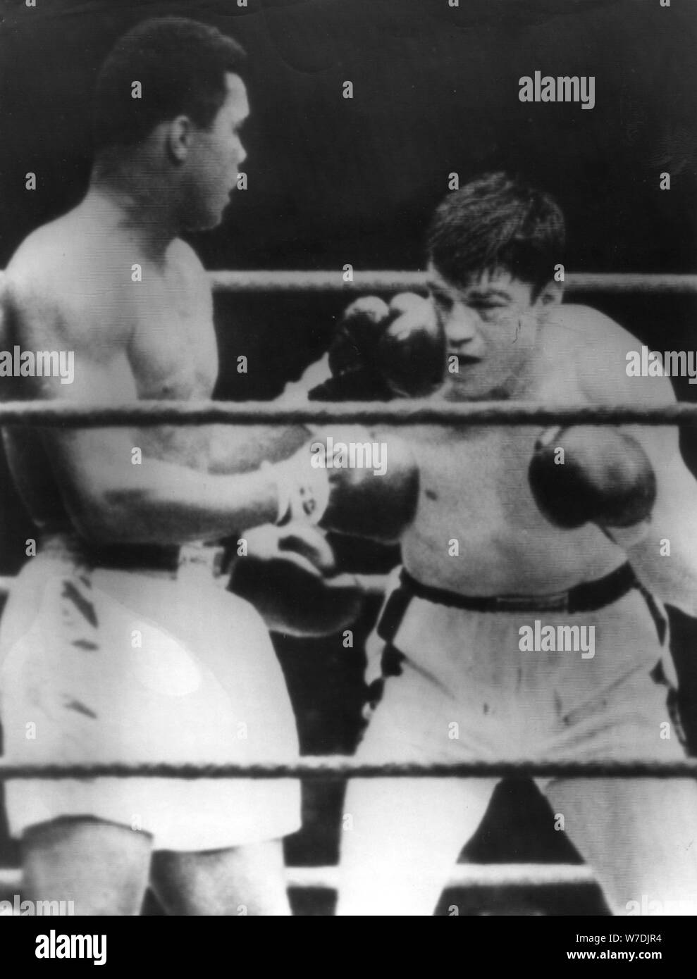 Muhammad Ali's fight against Karl Mildenberger, Frankfurt, Germany, 10 September 1966. Artist: Unknown Stock Photo