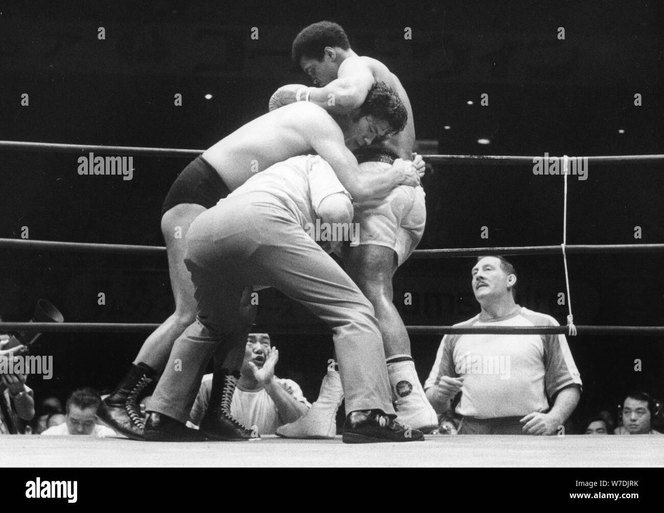 Inoki hi-res stock photography and images - Alamy