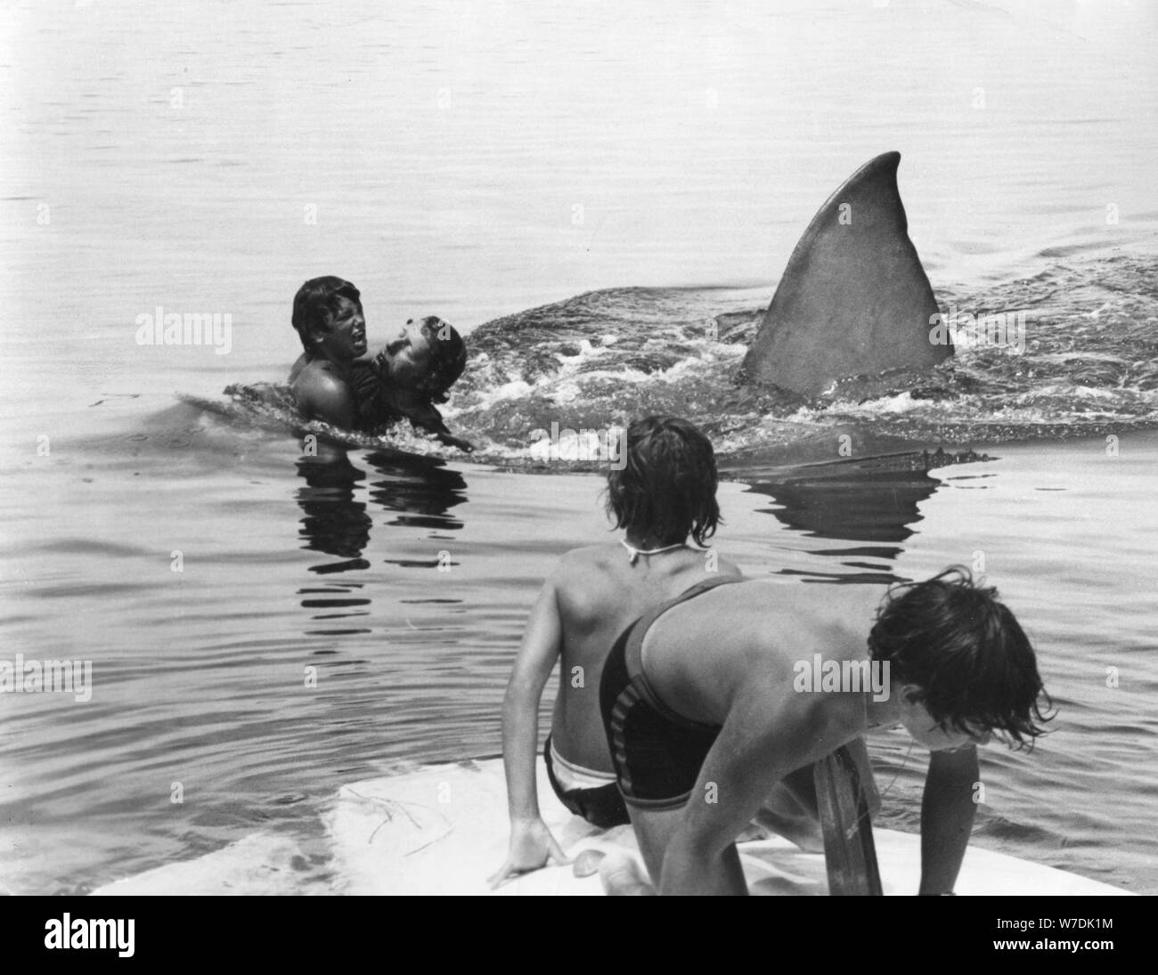 Jaws shark movie 1975 Black and White Stock Photos & Images - Alamy