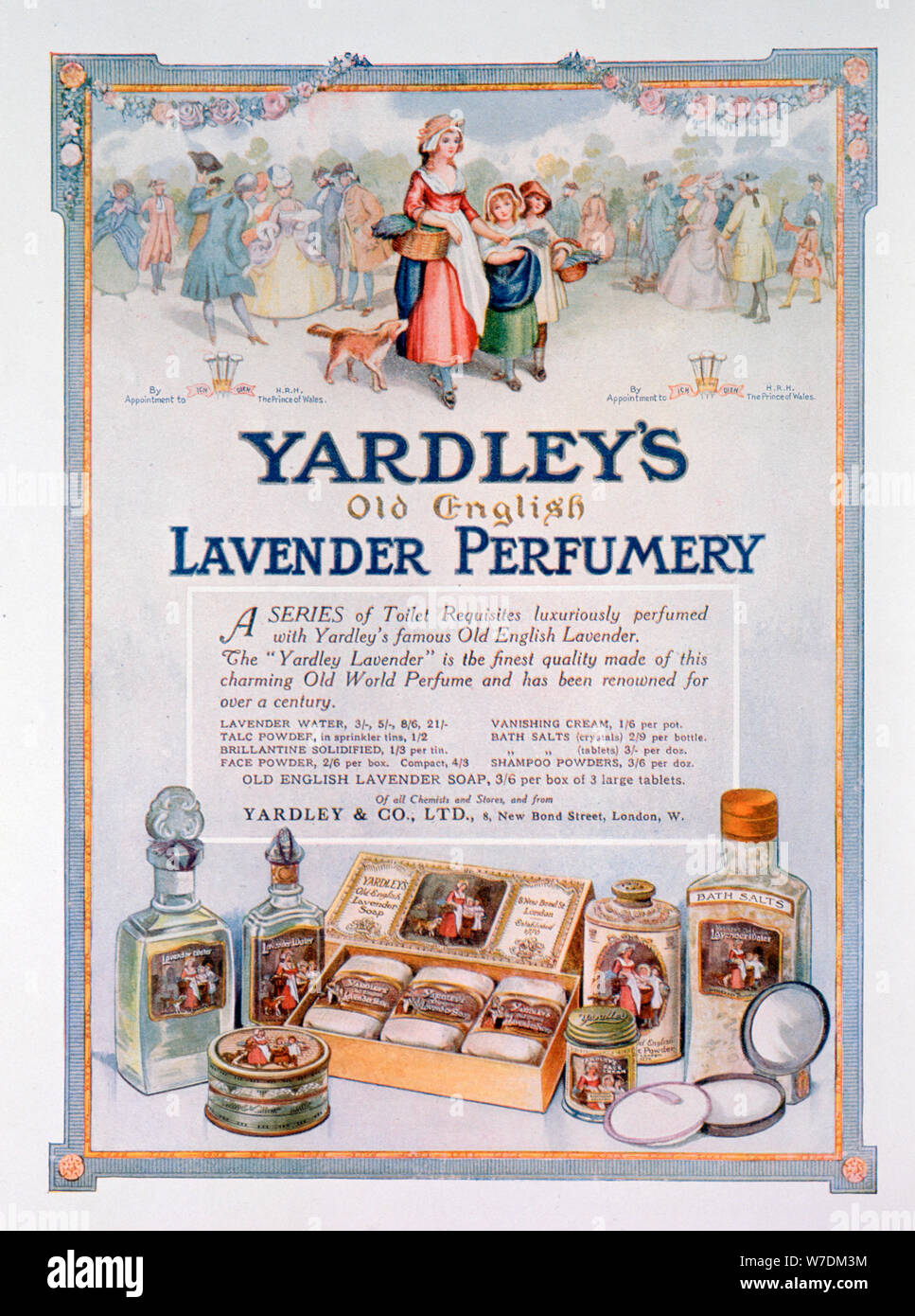 Yardley Old English Lavender 2025