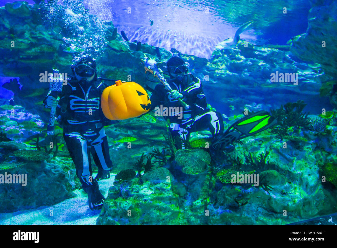 Diving Dresses High Resolution Stock Photography and Images - Alamy