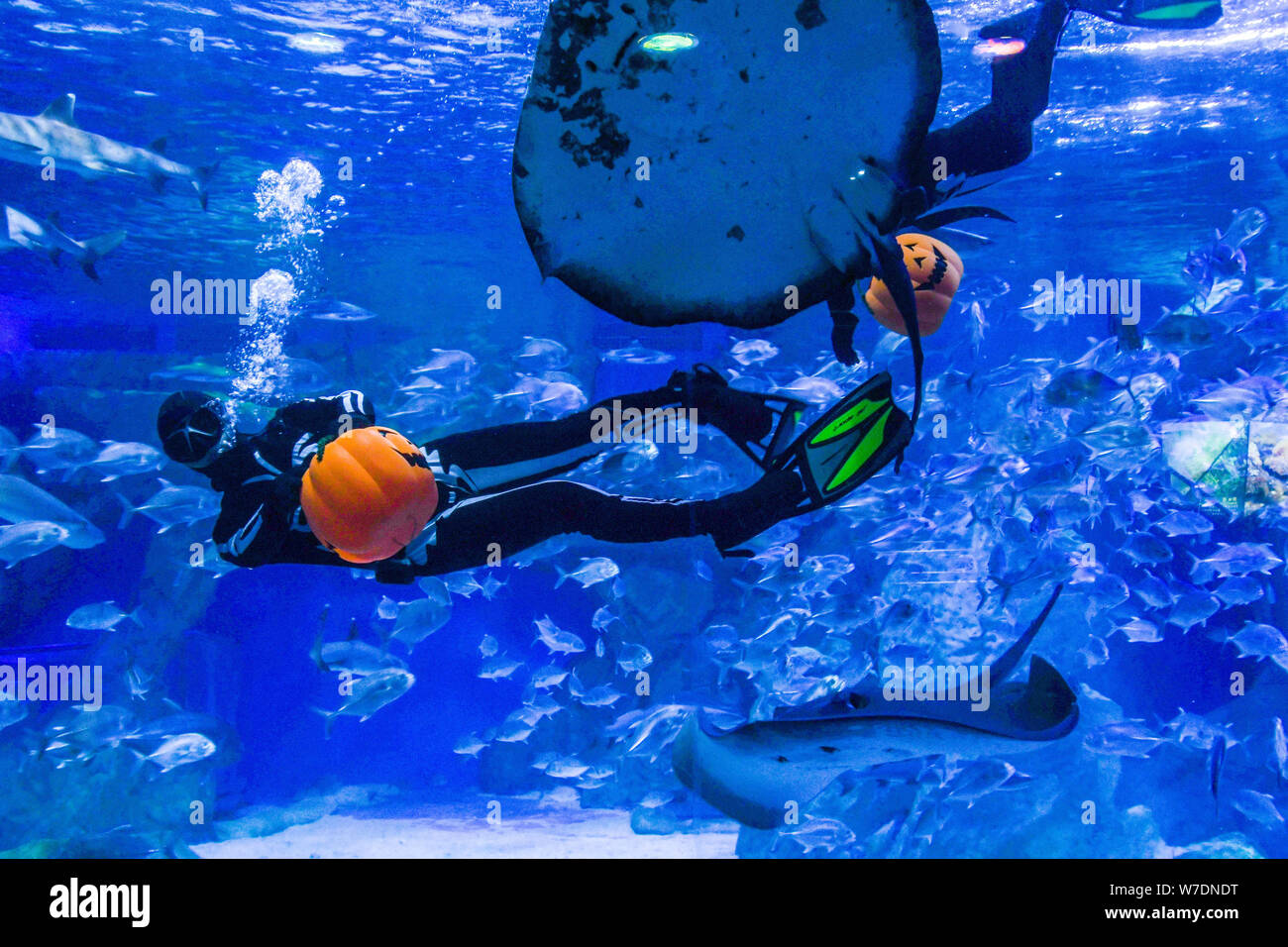 Diving dress hi-res stock photography and images - Alamy