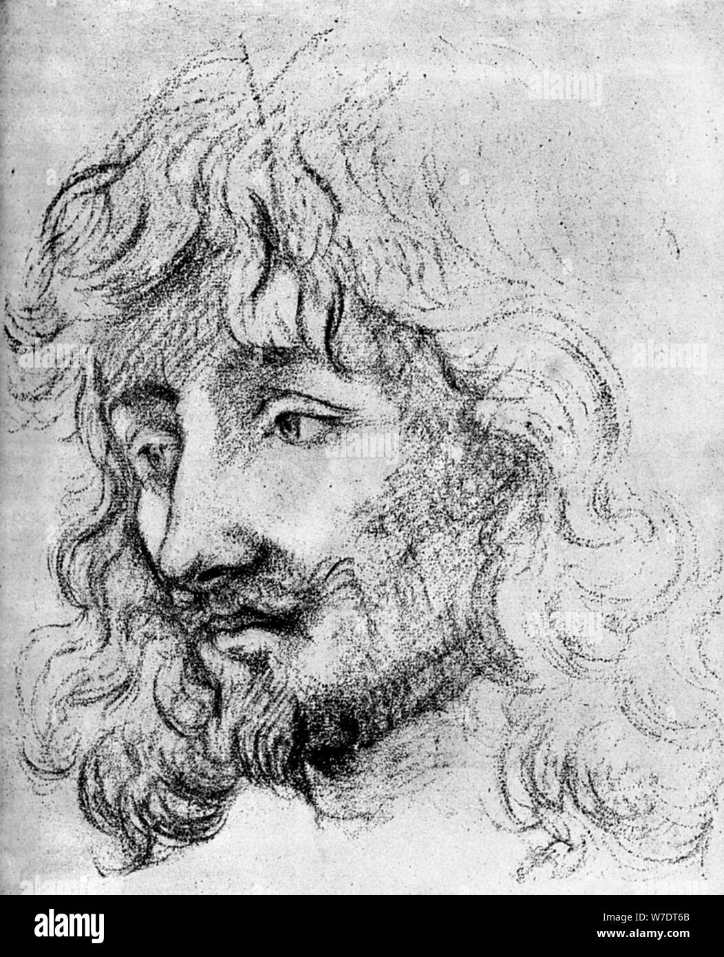 'Study of a Head', 17th century (1882). Artist: Unknown Stock Photo