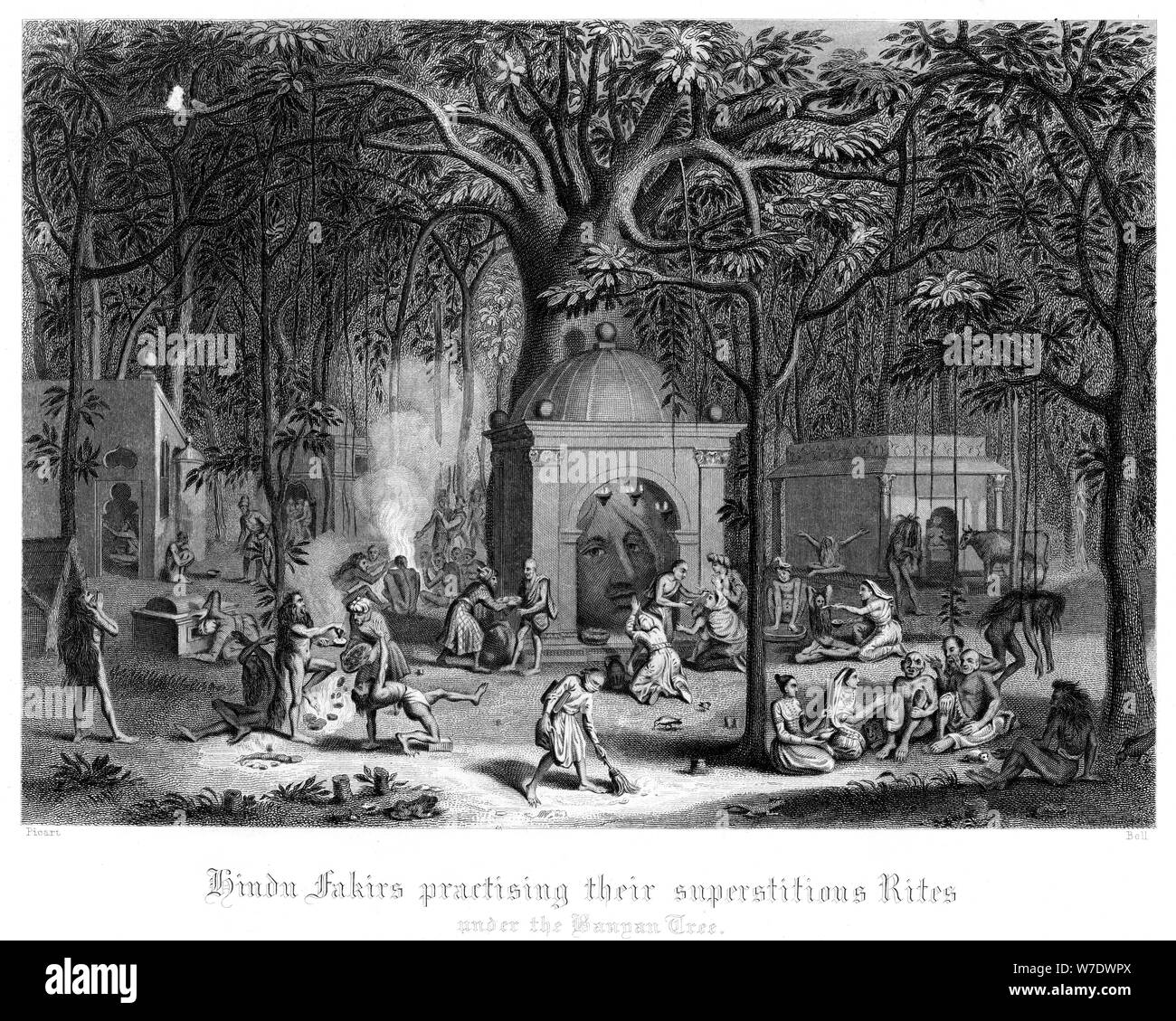 Banyan tree vintage drawing Black and White Stock Photos & Images - Alamy