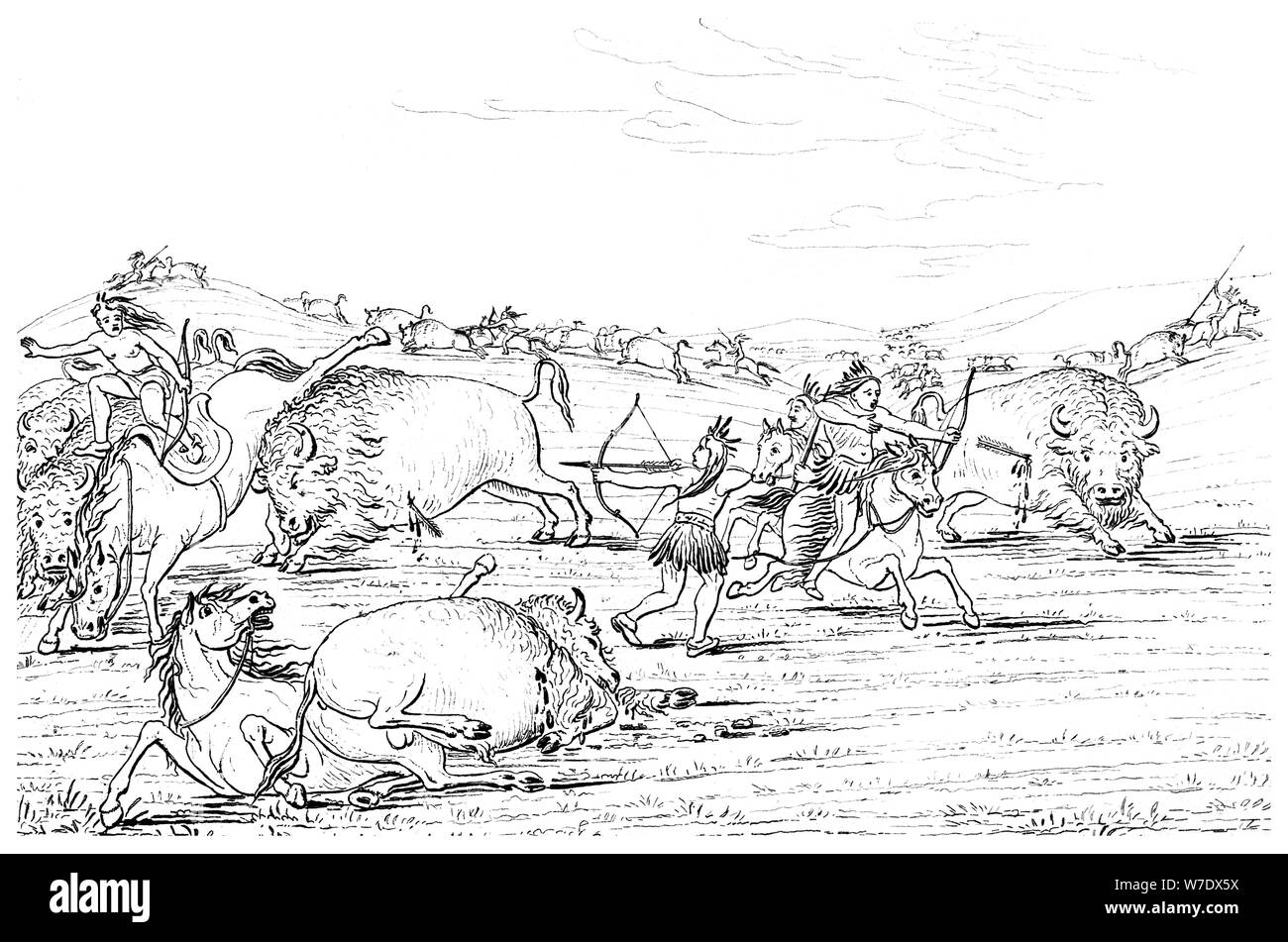 Native Americans hunting buffalo, 1841.Artist: Myers and Co Stock Photo