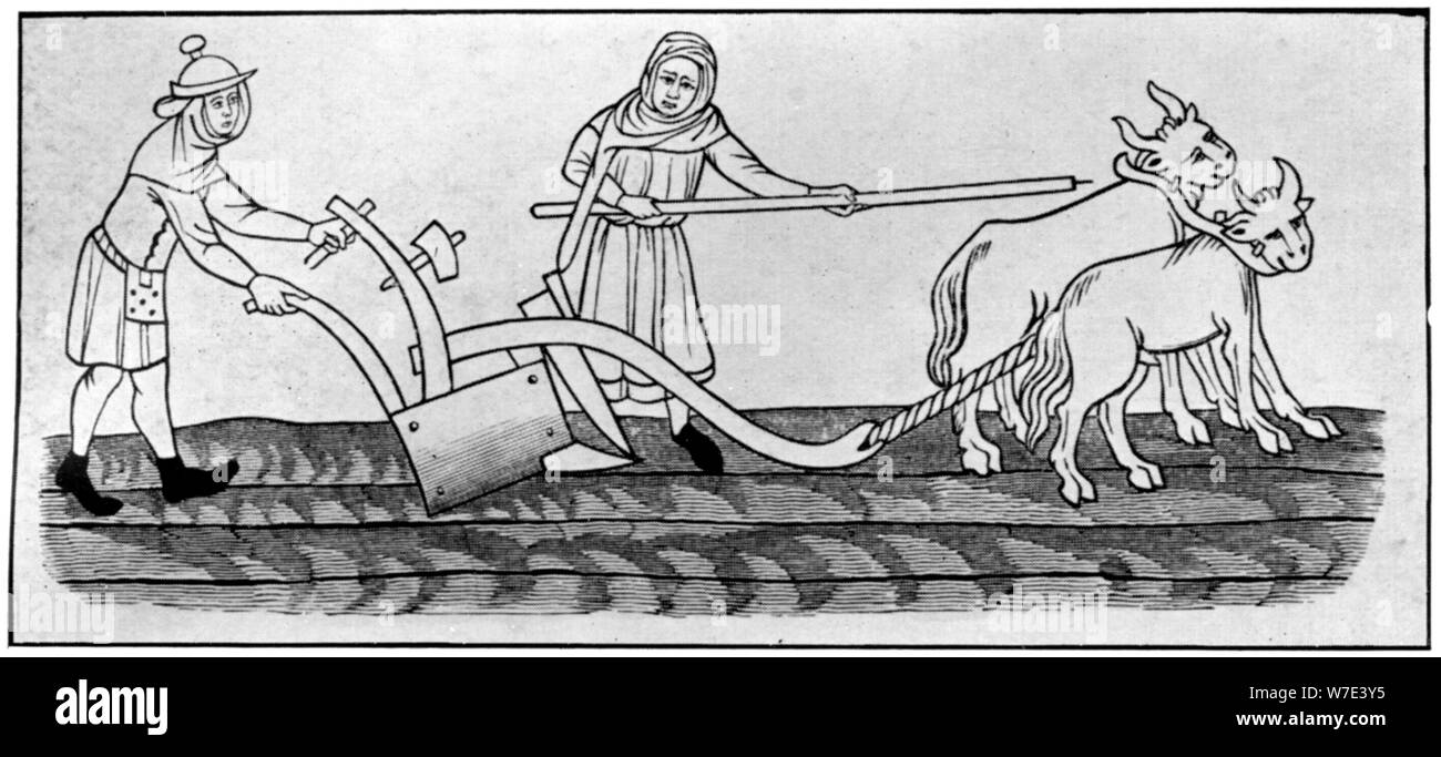 Ploughing, 14th century, (1910). Artist: Unknown Stock Photo