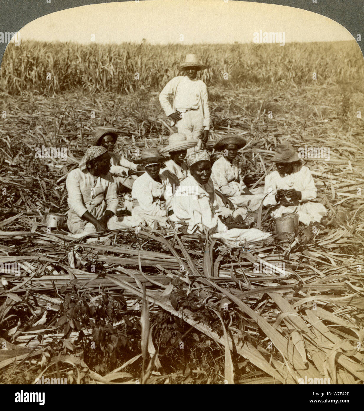 On 'La Union' sugar plantation, San Luis, Santiago Province, Cuba, 1899.  Artist: Underwood & Underwood Stock Photo