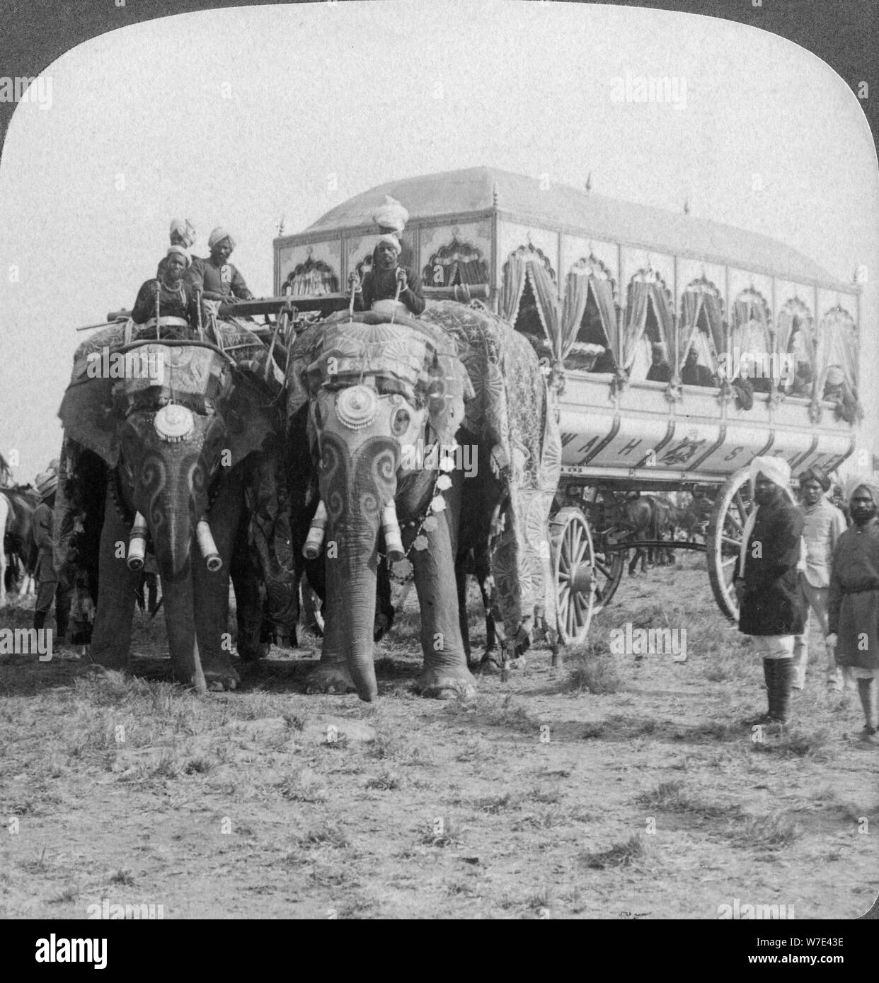 Richly adorned elephants and carriage of the Maharaja of Rewa at the Delhi Durbar, India, 1903. Artist: Underwood & Underwood Stock Photo
