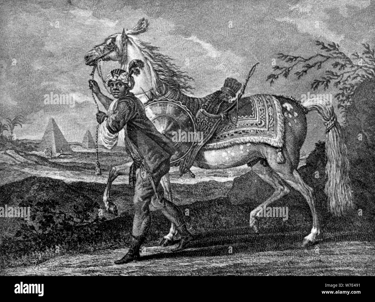 Turkish Arabian horse, 1722 (1938). Artist: Unknown Stock Photo