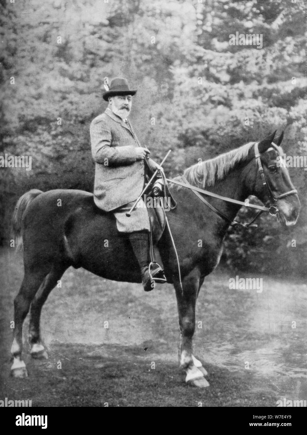 King Edward VII riding to the coverts at Sandringham, Norfolk, c1902-c1910 (1910). Artist: Knights-Whittome Stock Photo