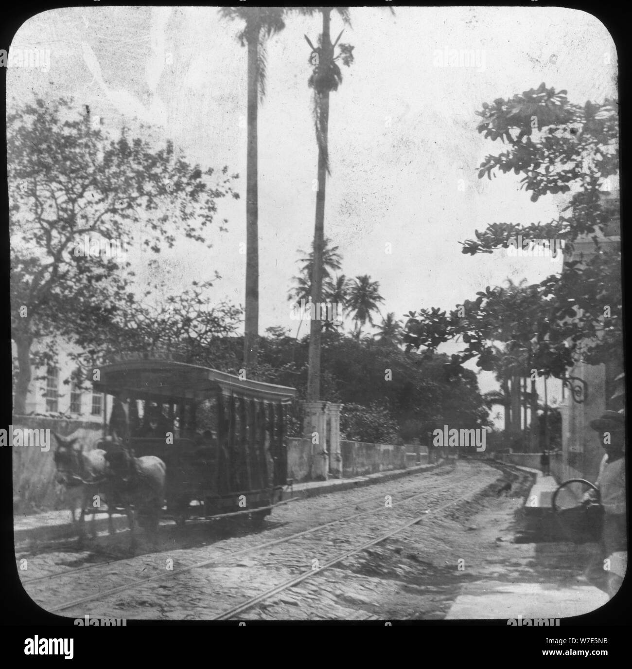 Street scene with horse-drawn tram, Pernambuco, Brazil, late 19th or early 20th century. Artist: Unknown Stock Photo