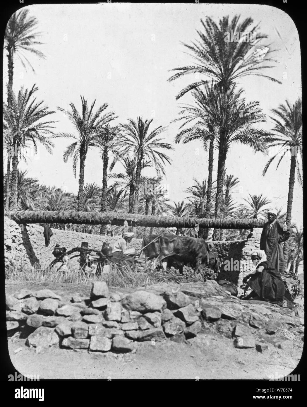 Ancient egypt water wheel hires stock photography and images Alamy