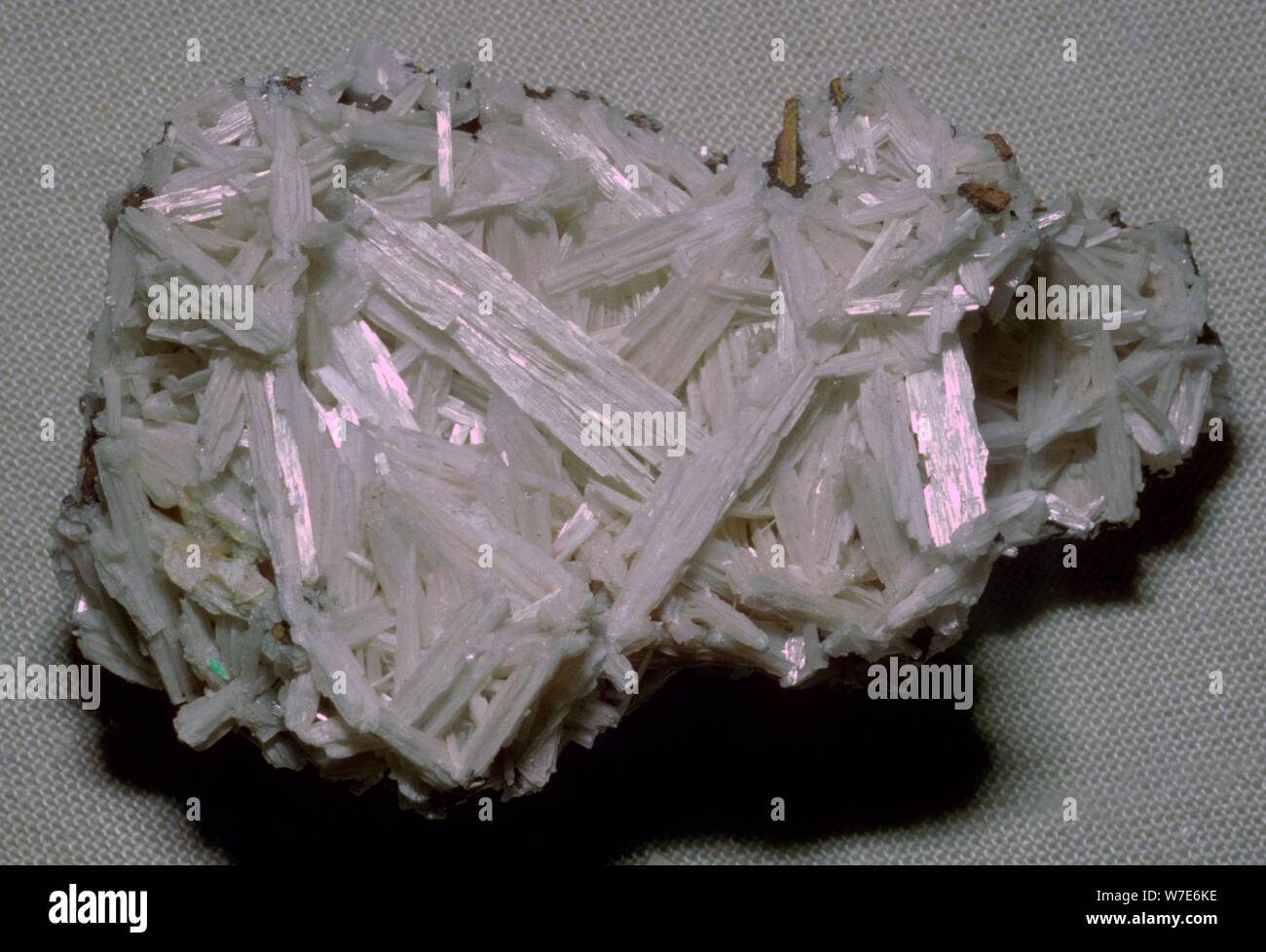 Cerusite Crystals. Artist: Unknown Stock Photo