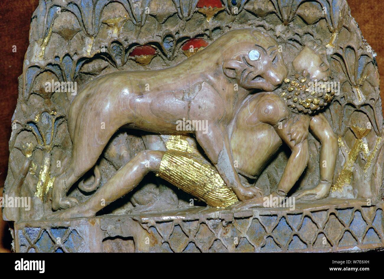 Kamera videosiga suratga tushish