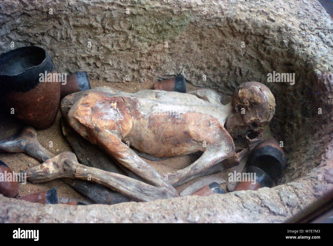 Early Egyptian burial known as 'Ginger'. Artist: Unknown Stock Photo