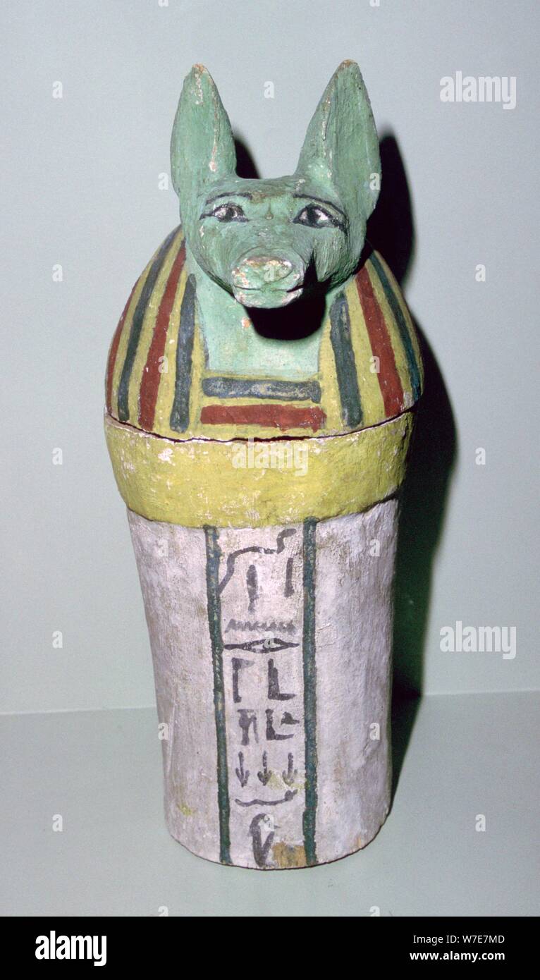 Jackal-headed wooden canopic jar for the storage of organs, Egyptian, 25th Dynasty, c700 BC. Artist: Unknown Stock Photo