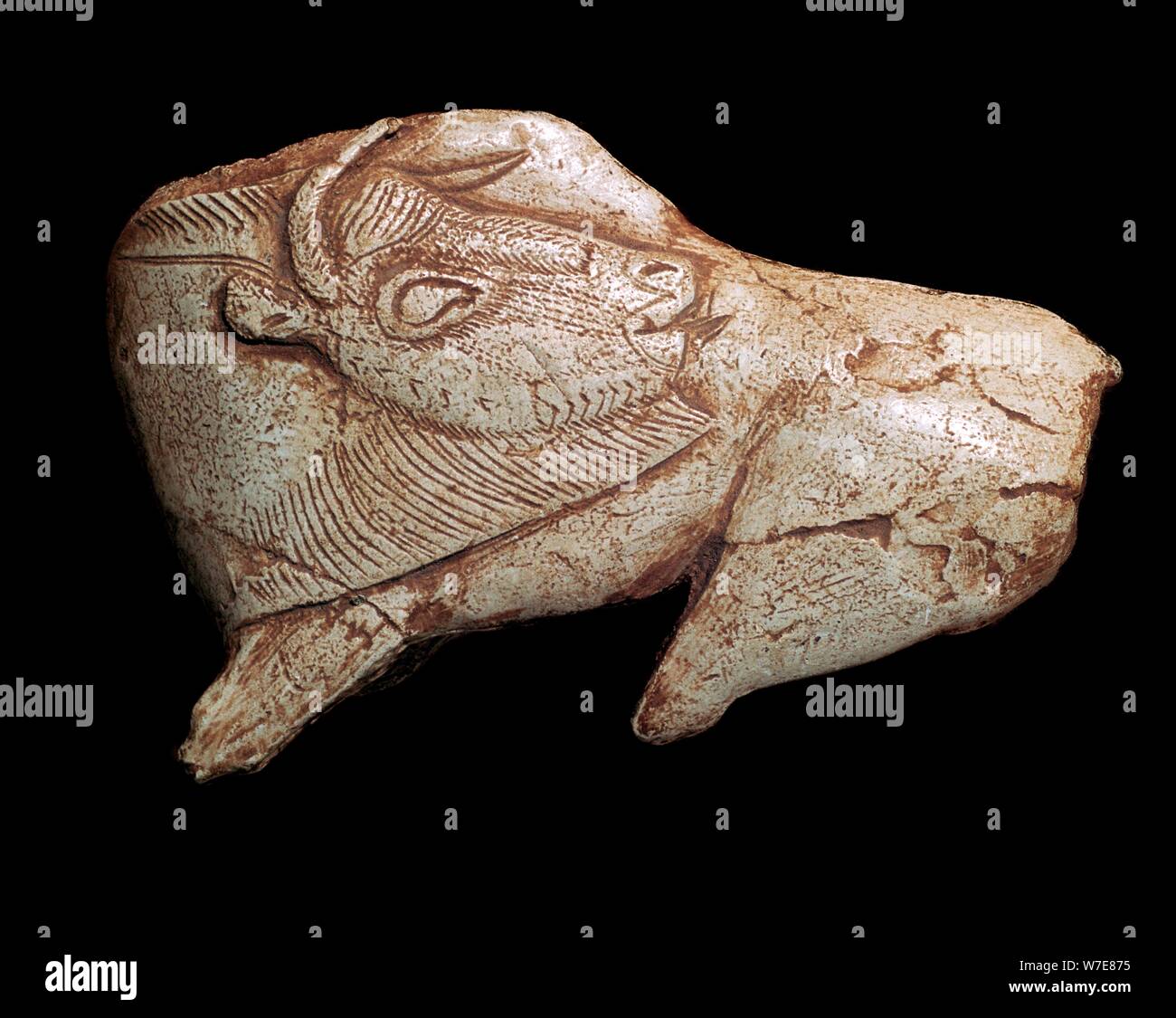 Paleolithic carving of a bison. Artist Unknown Stock Photo Alamy