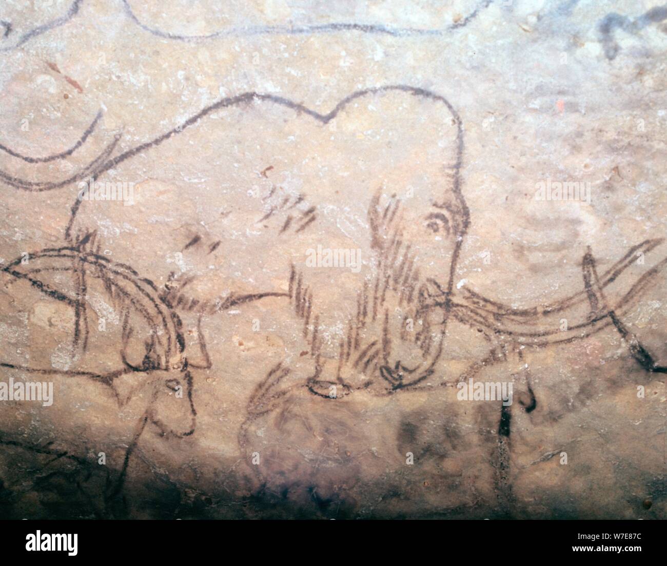 Neolithic cave-painting of mammoth and ibexes. Artist: Unknown Stock Photo