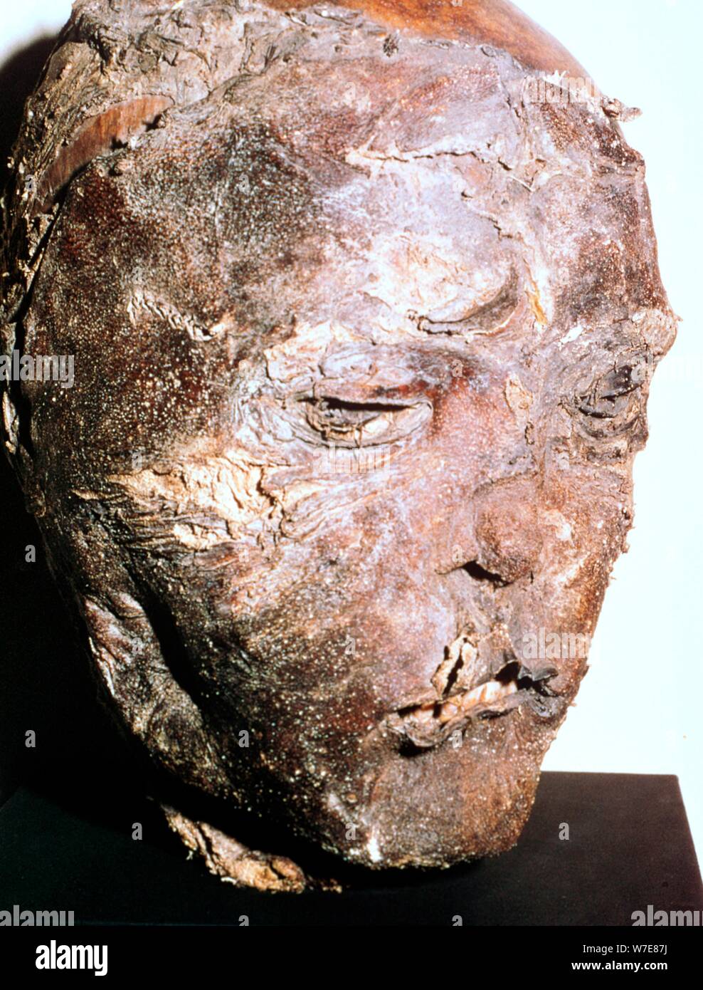 Mummified head of a Scythian chief, 5th century BC. 