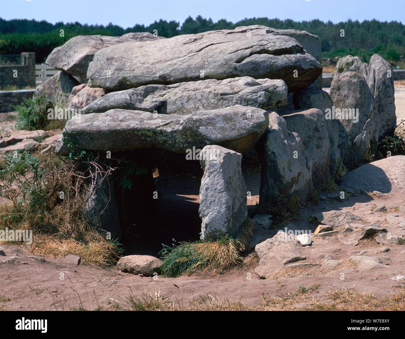 Dolmen at Kermario in Brittany, c,36th century BC. Artist: Unknown Stock Photo