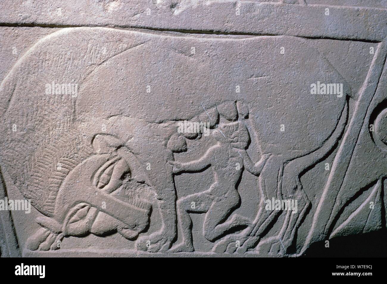 Etruscan grave-slab showing a man being suckled by a beast, 5th century. Artist: Unknown Stock Photo