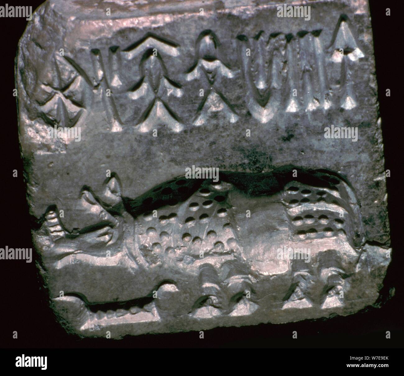Rhinoceros in a Pakistani steatite seal, 25th century BC. Artist: Unknown Stock Photo