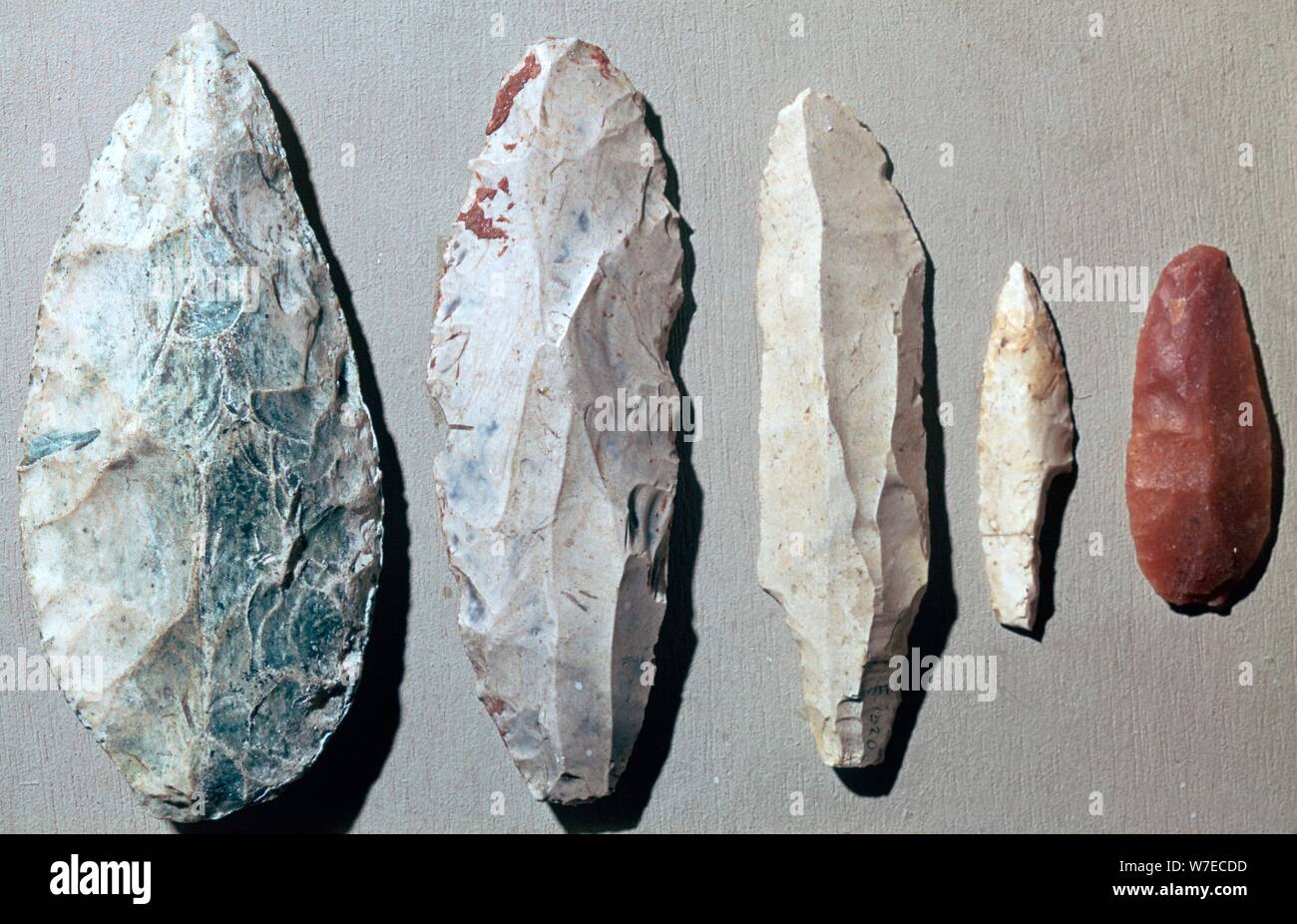 Paleolithic flint tools. Artist: Unknown Stock Photo