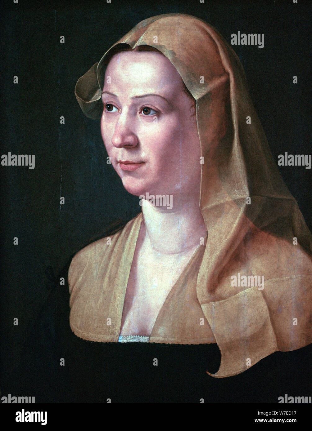 School 16th century hi-res stock photography and images - Alamy