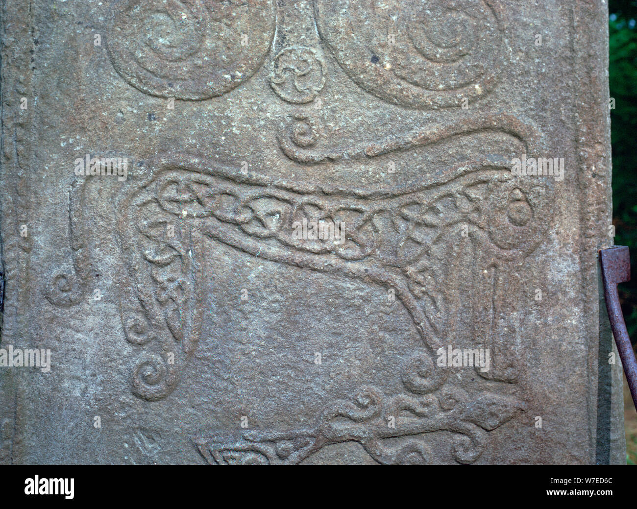 Detail of a Pictish carved stone showing the 'Pictish Beast' symbol, 6th century. Artist: Unknown Stock Photo