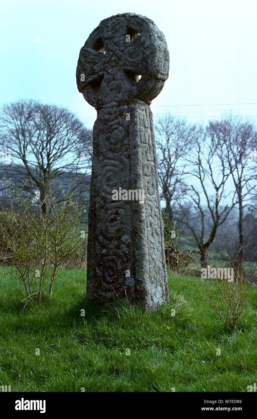 Cardinham Cross, 10th century. Stock Photo