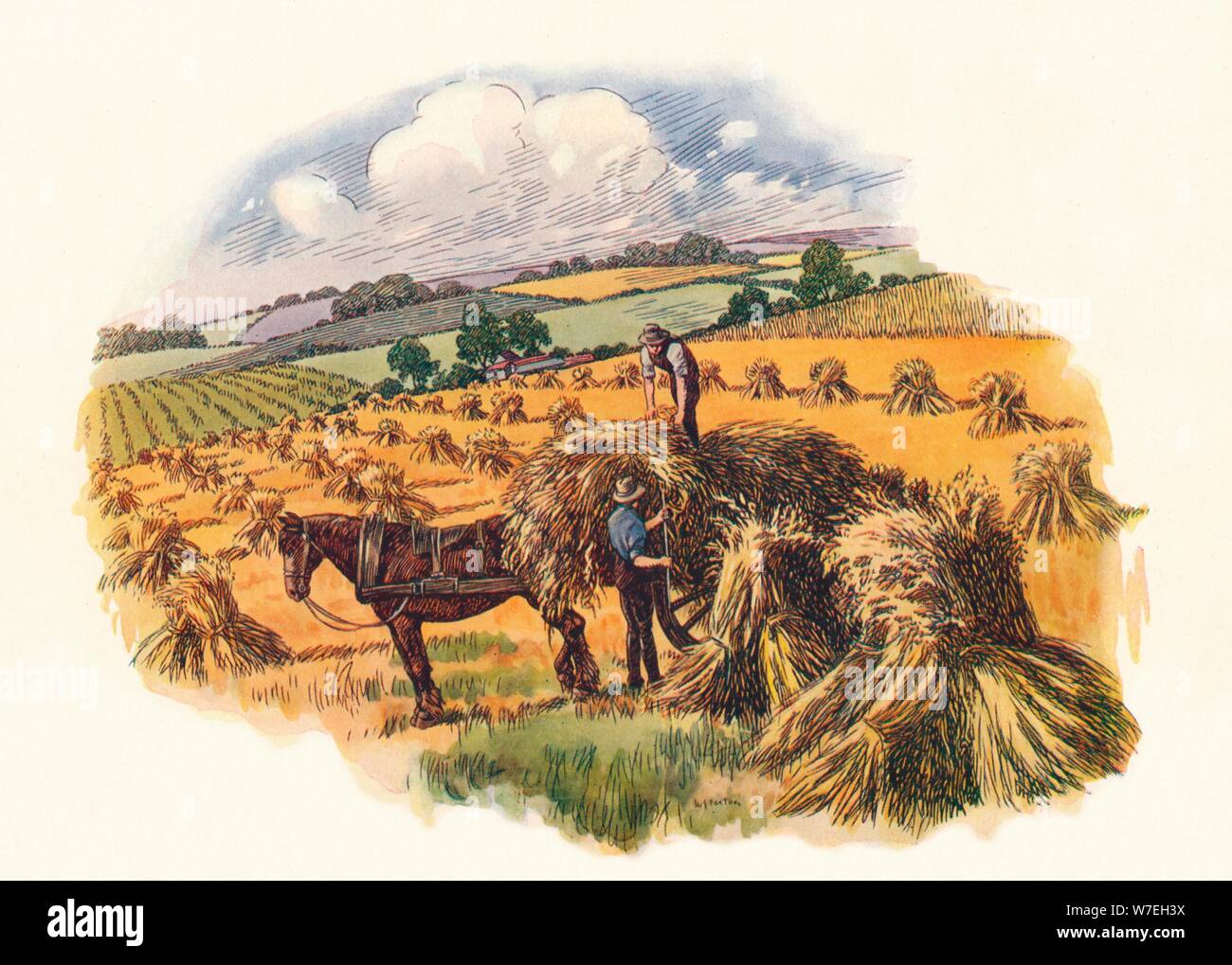 Harvesting at Tolpuddle, (1824), 1934. Artist: Unknown Stock Photo