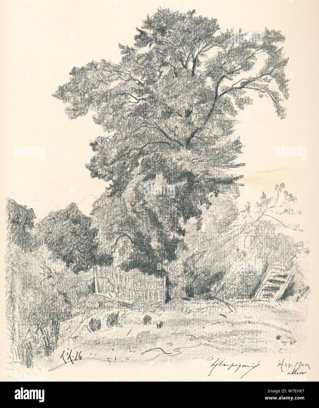 Study of Trees, c1839-1898, (1898). Artist: Henri-Joseph Harpignies Stock Photo