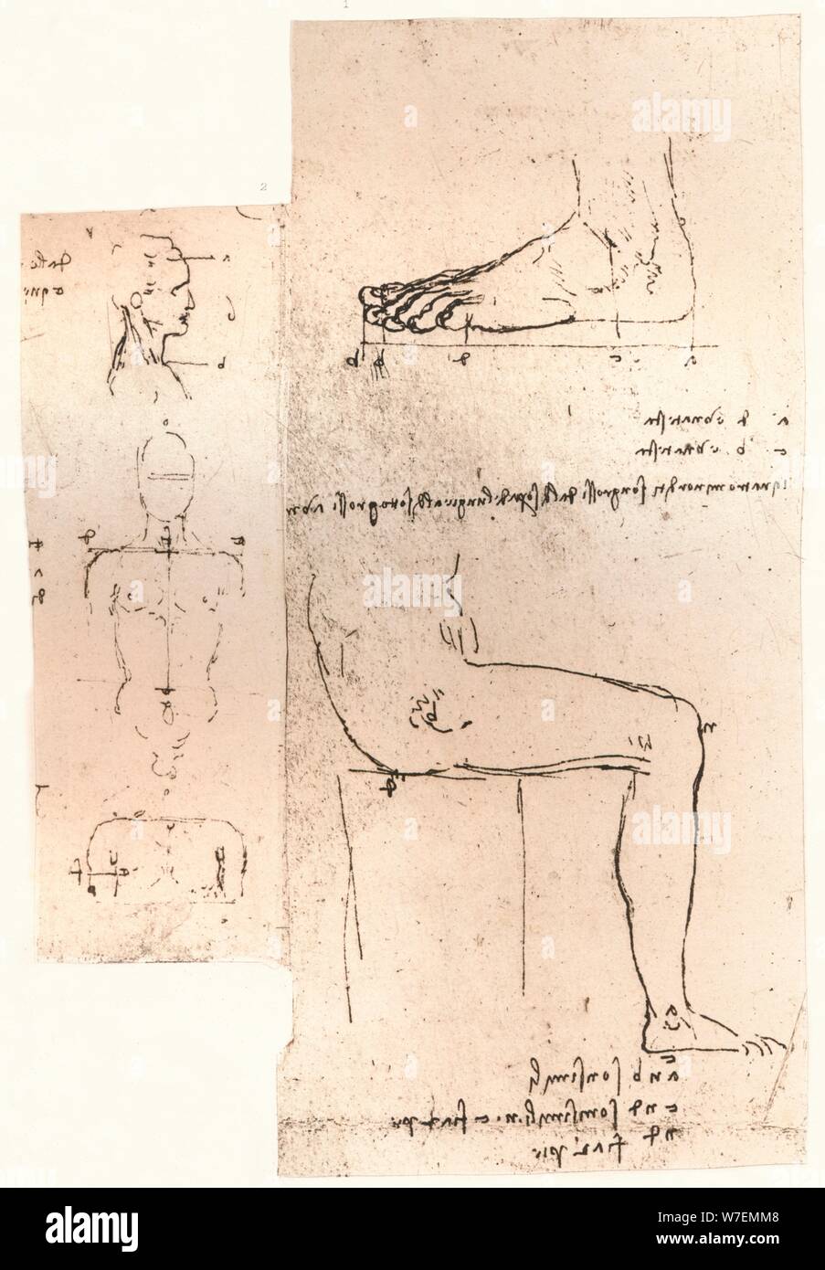 Two drawings illustrating the theory of the proportions of the human figure, c1472-c1519 (1883). Artist: Leonardo da Vinci. Stock Photo
