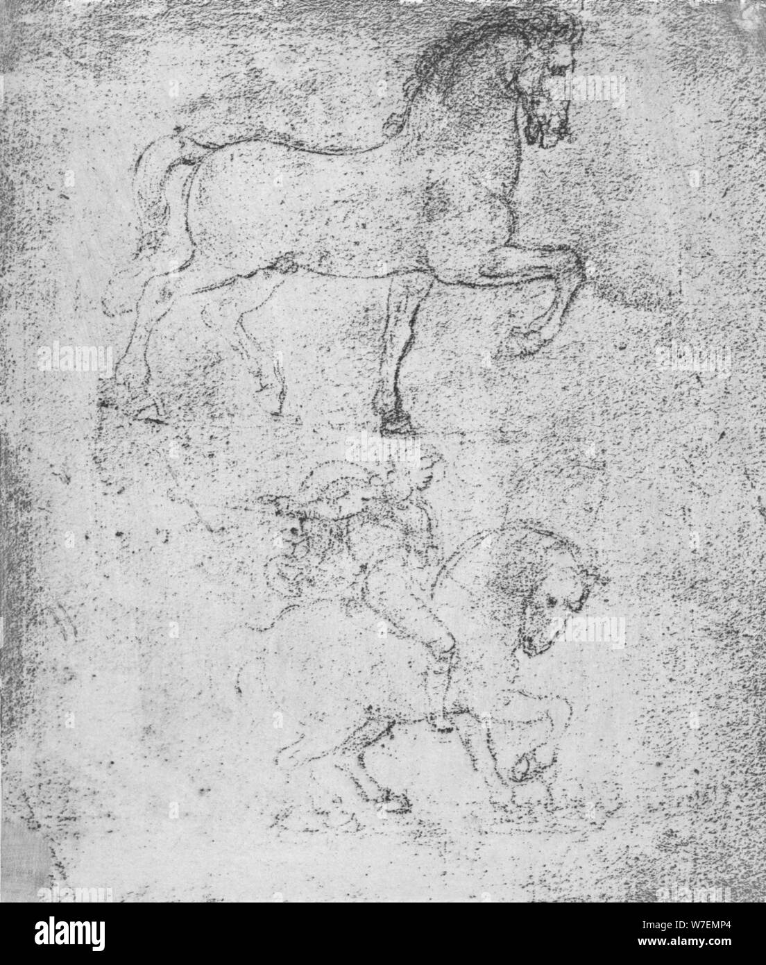 Study for the Sforza Monument, c1482-c1499 (1883). Artist: Leonardo da Vinci. Stock Photo