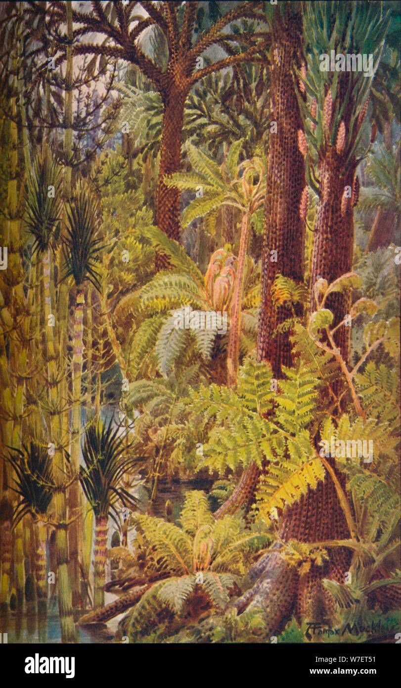 The gigantic vegetation of the Carboniferous Age, 1907.  Artist: Unknown. Stock Photo