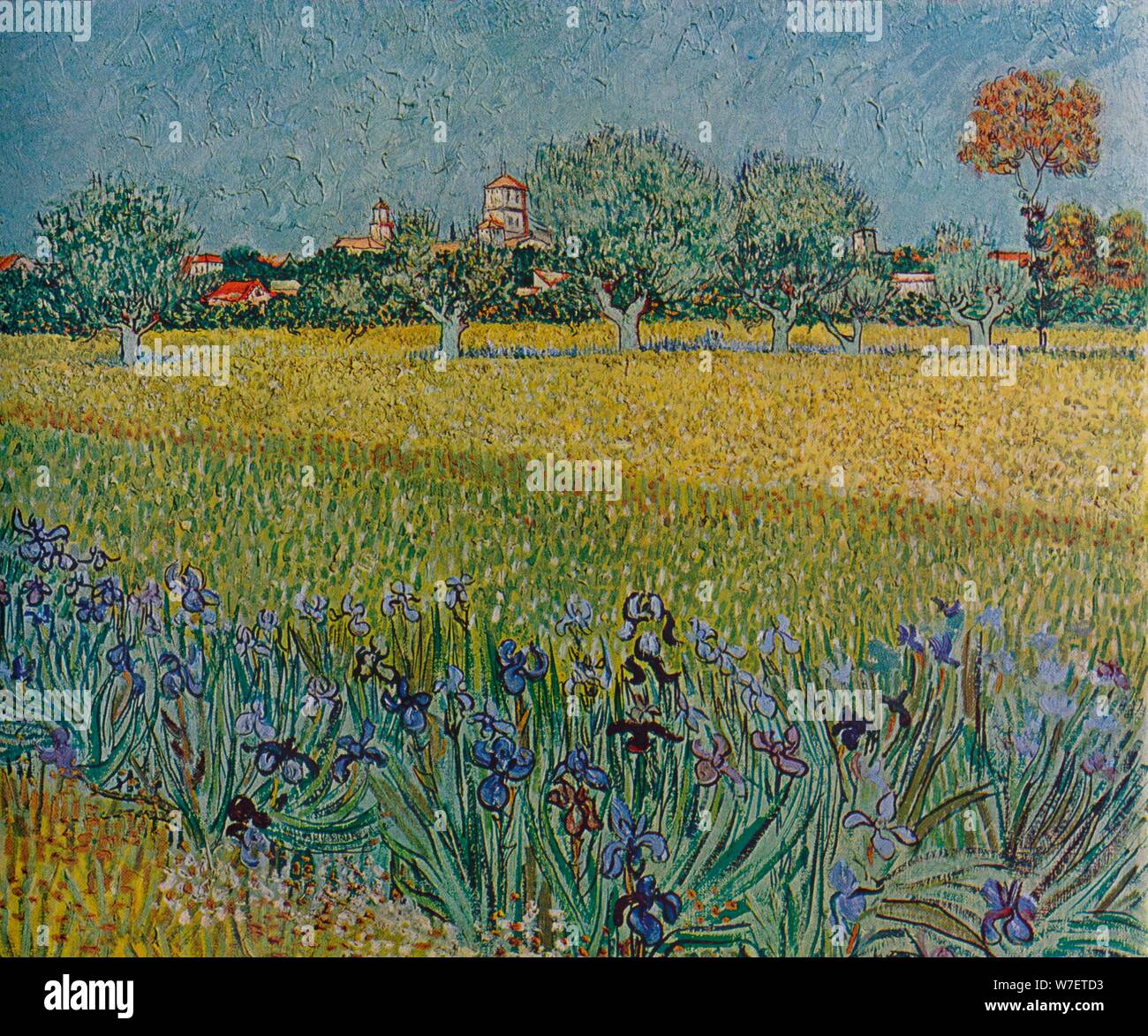View Of Ales With Irises In Bloom 18 Artist Vincent Van Gogh Stock Photo Alamy View Of Ales With Irises In Bloom 18 Artist Vincent Van Gogh Stock Photo Alamy