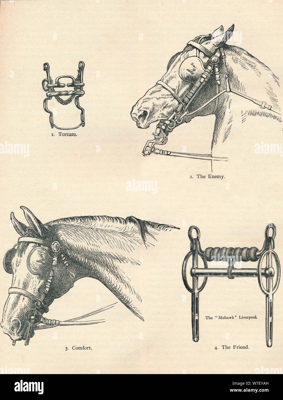 Horse bits, good and bad, c1909 (c1910). Artist: Unknown. Stock Photo