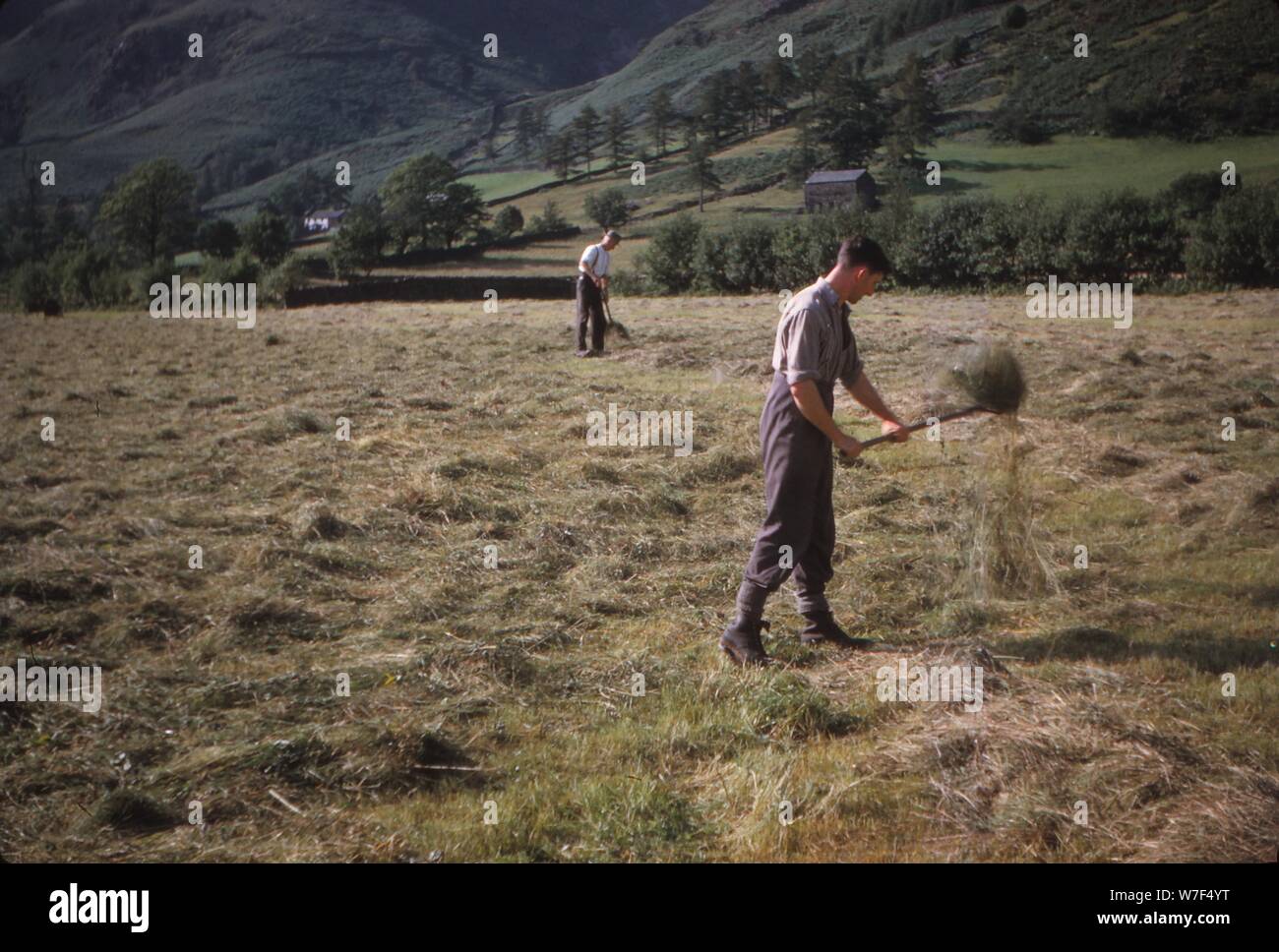 Turning hay by hand hires stock photography and images Alamy
