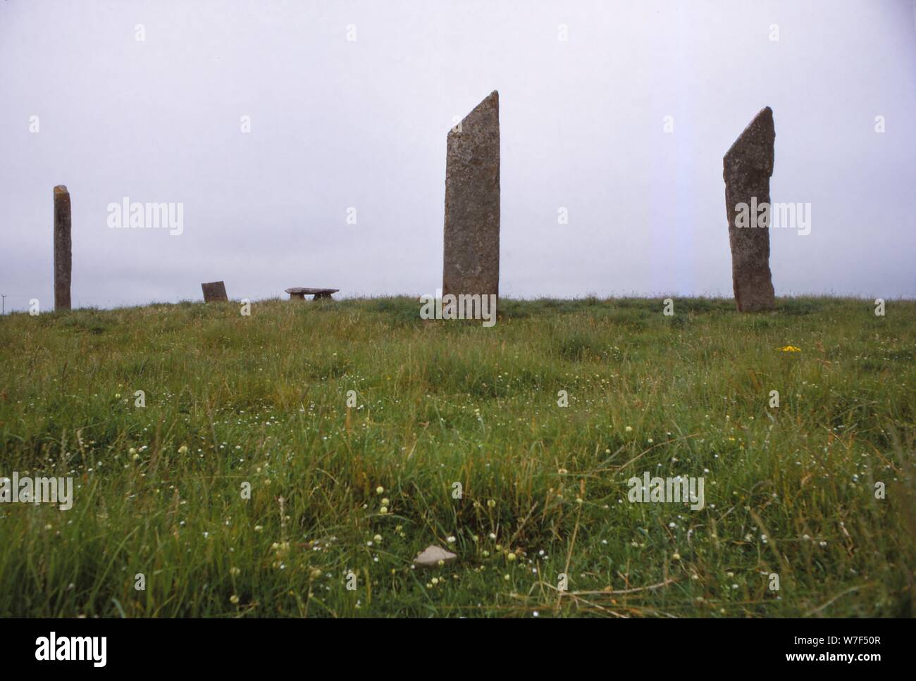 Standing stones of Stenness. Megalithic monument 3rd millennium BC, Orkney, 20th century. Artist: CM Dixon. Stock Photo